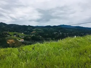 Lands for Sale in Pussellawa