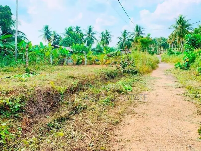කිරිඳිවැලින් වටිනා පර්චස් 12.5ක් / CH 14639