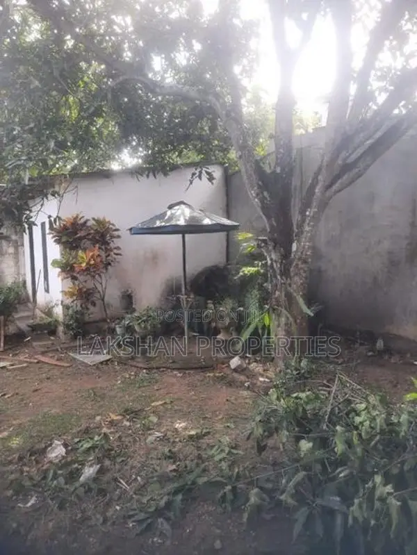 Separate House For Rent In Boralesgamuwa Lake Road