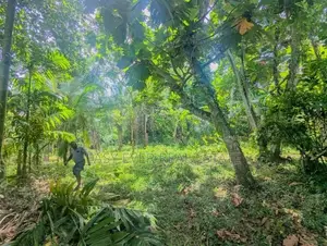 මීරිගම පල්ලෙවෙල පිහිටි පර්චස් 60 ක වටිනා ඉඩම / ST 15004