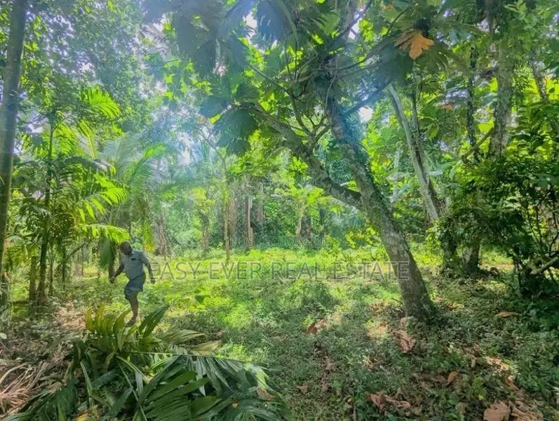 මීරිගම පල්ලෙවෙල පිහිටි පර්චස් 60 ක වටිනා ඉඩම / ST 15004