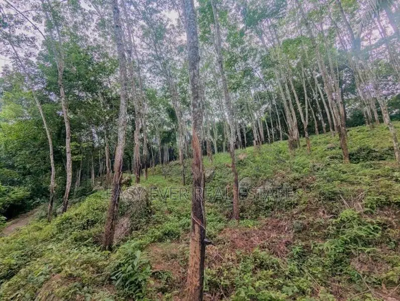 තෝලන්ගමුවෙන් වටිනා බිම් කොටසක් විකිණීමට / AJ 13950