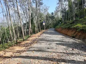 Land for Sale in Nelundeniya