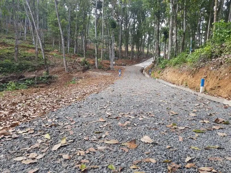 Valuable Land for Sale in Nelundeniya