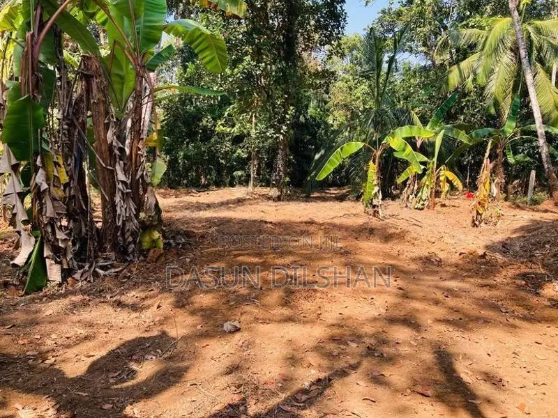 Land for Sale in Alawwa