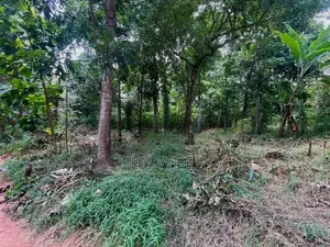 කුරුණෑගල අගනා ඉඩමක් විකිණීමට