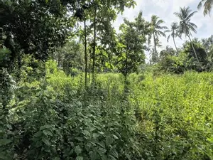 252 Perches Land for Sale Dummalasooriya