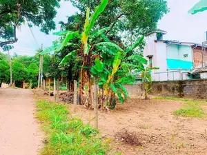 මිනුවන්ගොඩ නගරයේන් පර්චස් 16යි.පර්චසය
