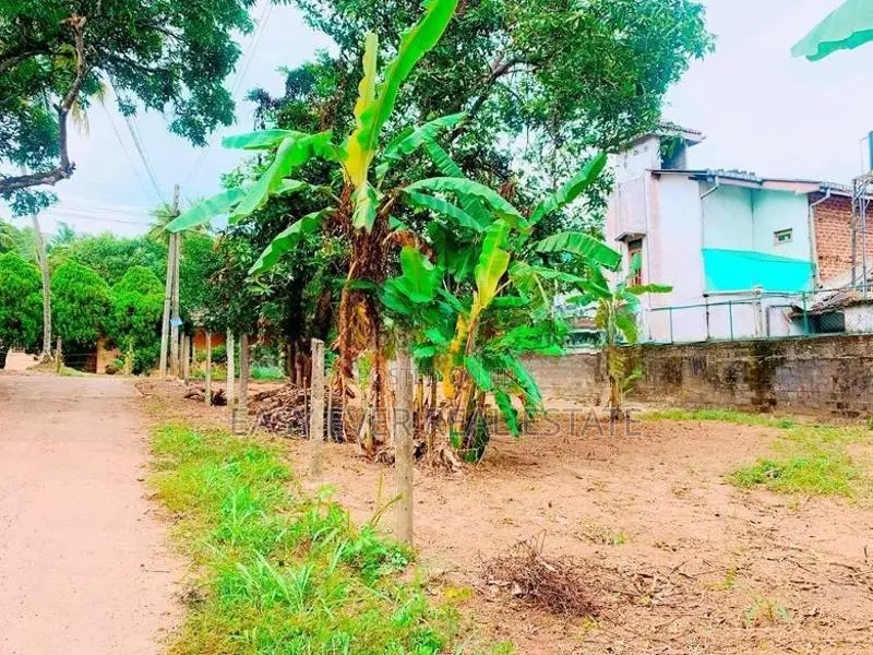 මිනුවන්ගොඩ නගරයේන් පර්චස් 16යි.පර්චසය