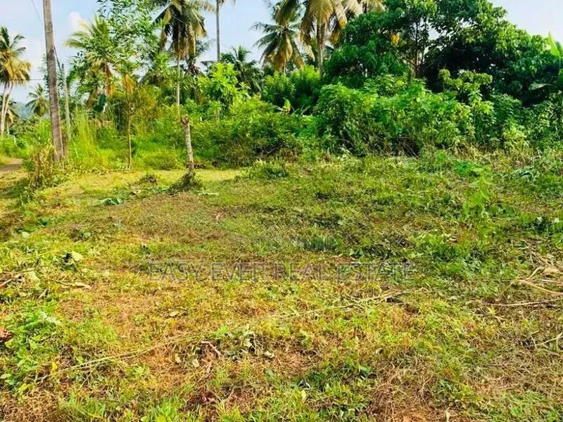 කිරිඳිවැලින් වටිනා පර්චස් 12.5ක් / CH 14639
