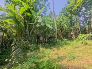 මීරිගම පල්ලෙවෙල පිහිටි පර්චස් 60 ක වටිනා ඉඩම / ST 15004