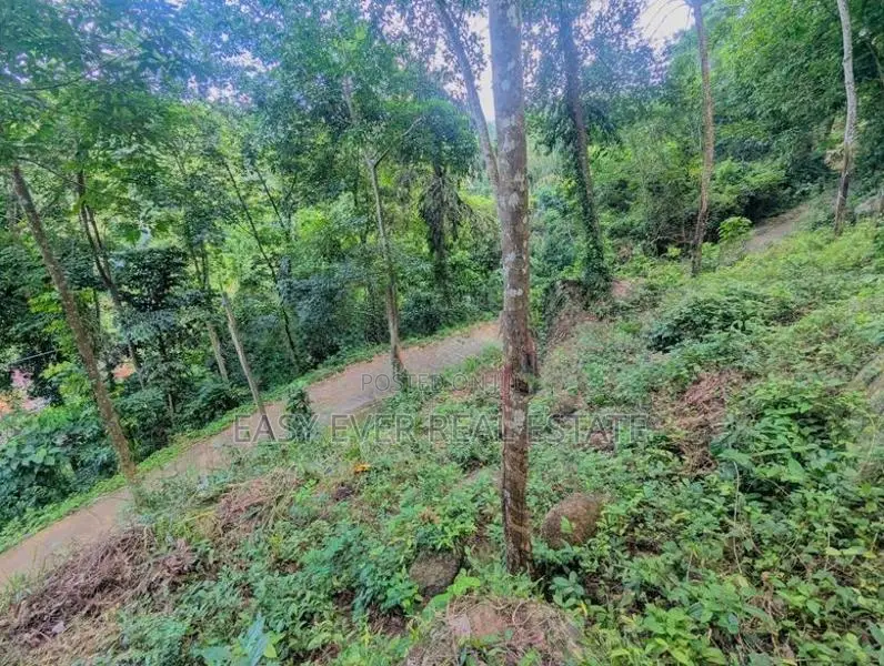 තෝලන්ගමුවෙන් වටිනා බිම් කොටසක් විකිණීමට / AJ 13950