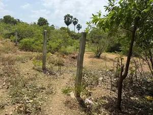 Land for Sale in Kaithady