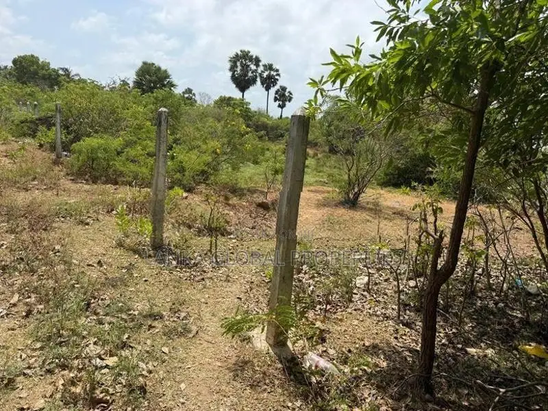 Land for Sale in Kaithady