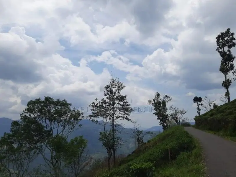 Valuable Land for Sale in Pundaluoya
