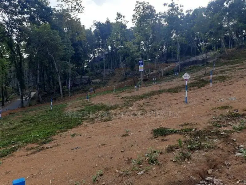 Land for Sale in Nelundeniya