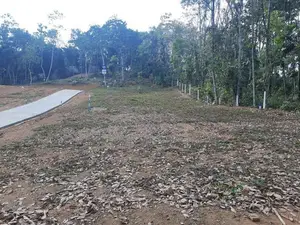 Valuable Land for Sale in Nelundeniya