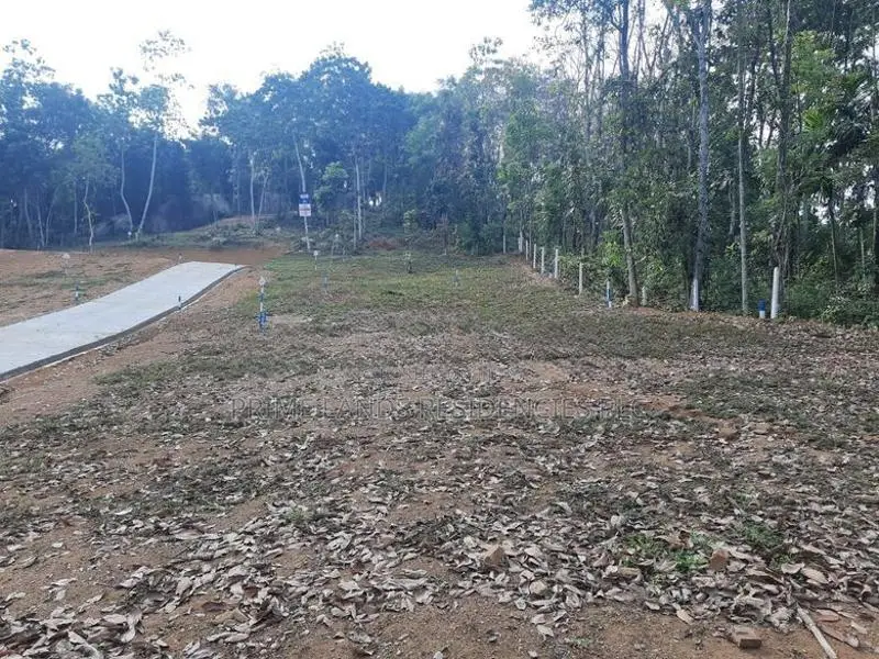 Valuable Land for Sale in Nelundeniya