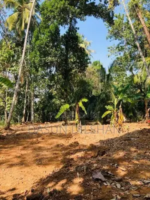 Land for Sale in Alawwa