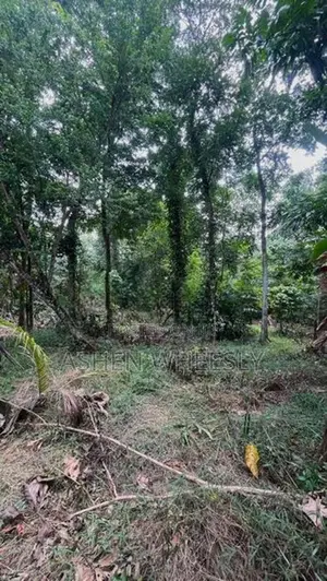 කුරුණෑගල අගනා ඉඩමක් විකිණීමට