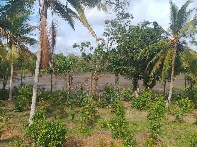 Land for Sale Near Hikkaduwa Tourism Area