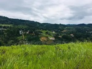 Lands for Sale in Pussellawa