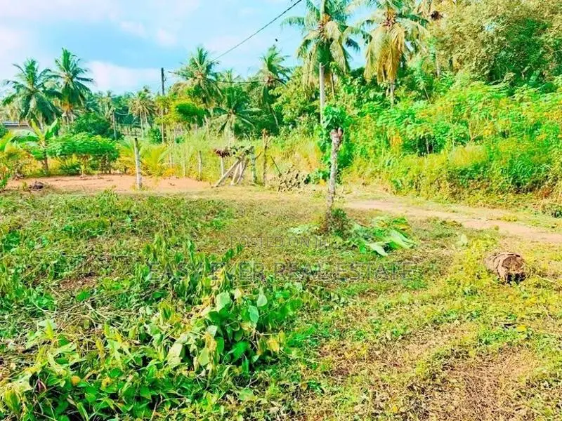 කිරිඳිවැලින් වටිනා පර්චස් 12.5ක් / CH 14639