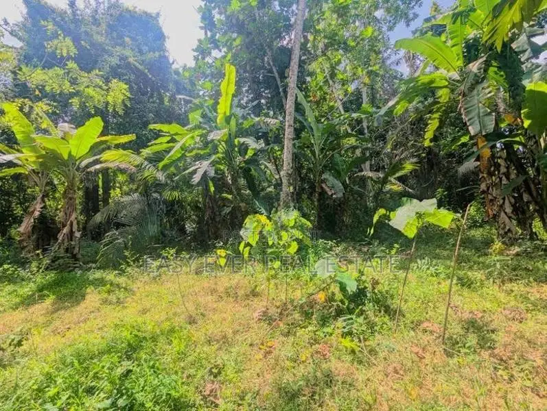 මීරිගම පල්ලෙවෙල පිහිටි පර්චස් 60 ක වටිනා ඉඩම / ST 15004