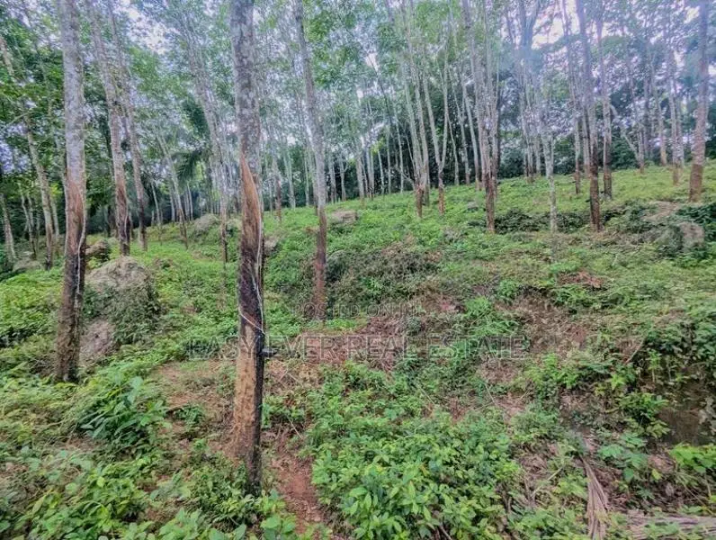 තෝලන්ගමුවෙන් වටිනා බිම් කොටසක් විකිණීමට / AJ 13950
