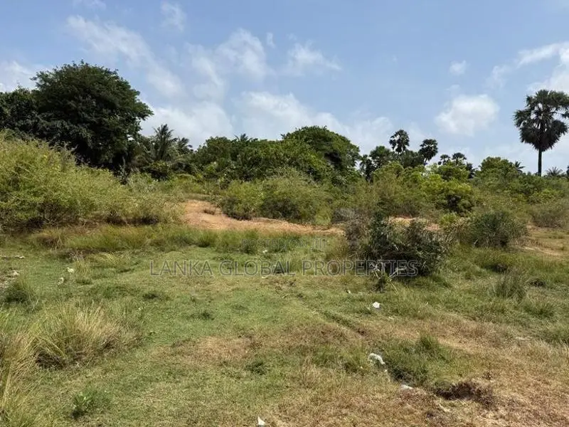 Land for Sale in Kaithady