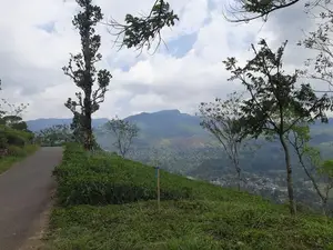 Valuable Land for Sale in Pundaluoya