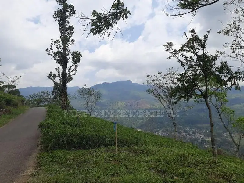 Valuable Land for Sale in Pundaluoya