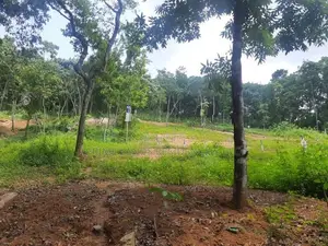 Residential Land for Sale in Nelundeniya