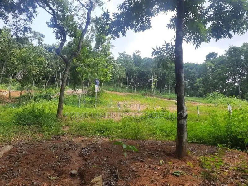Residential Land for Sale in Nelundeniya