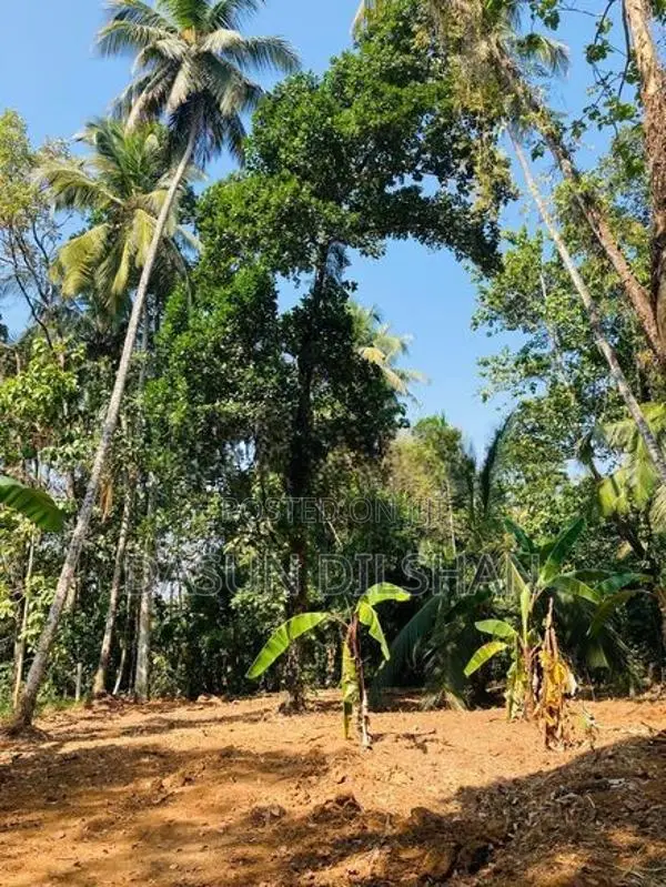 Land for Sale in Alawwa