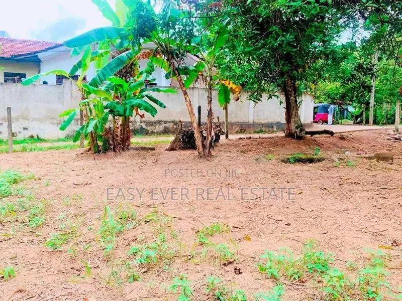 මිනුවන්ගොඩ නගරයේන් පර්චස් 16යි.පර්චසය