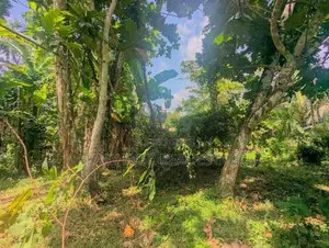 මීරිගම පල්ලෙවෙල පිහිටි පර්චස් 60 ක වටිනා ඉඩම / ST 15004