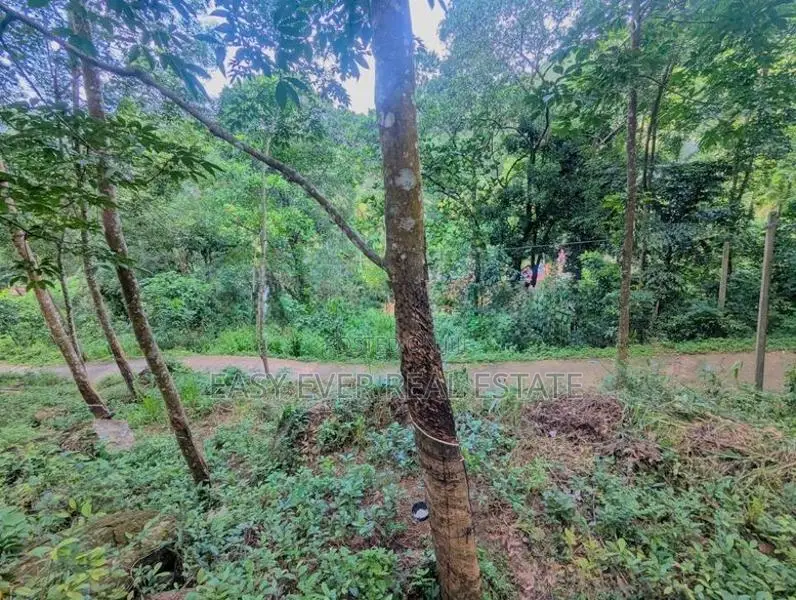 තෝලන්ගමුවෙන් වටිනා බිම් කොටසක් විකිණීමට / AJ 13950