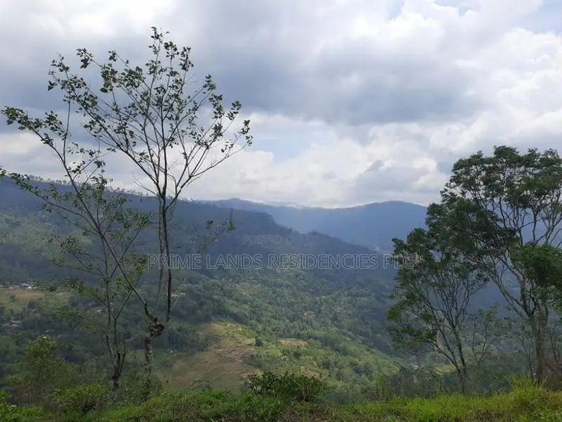 Valuable Land for Sale in Pundaluoya