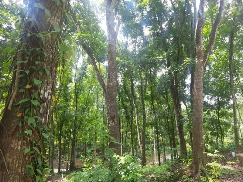 Residential Land for Sale in Nelundeniya
