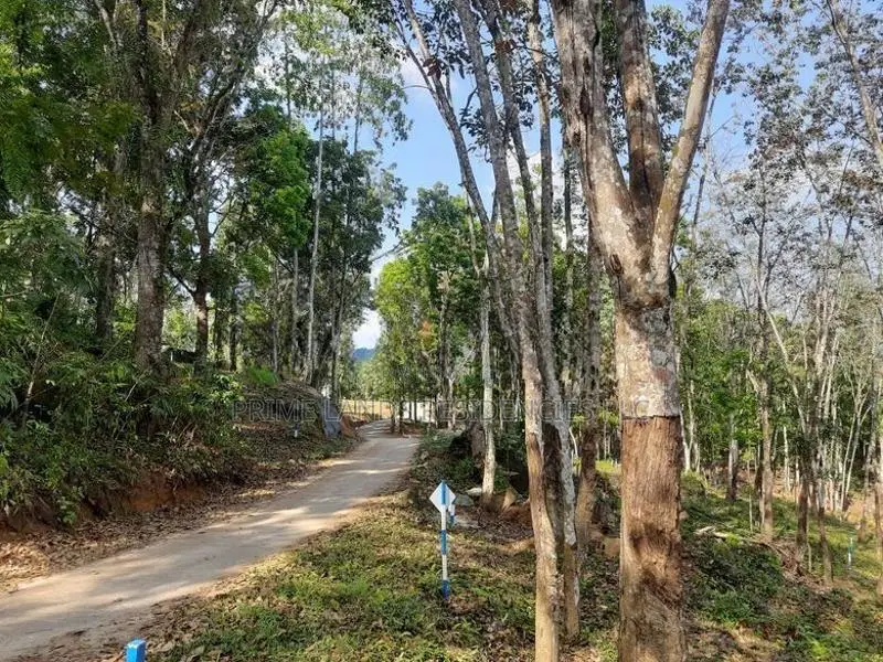 Valuable Land for Sale in Nelundeniya