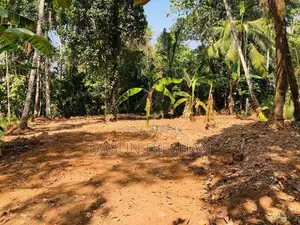 Land for Sale in Alawwa