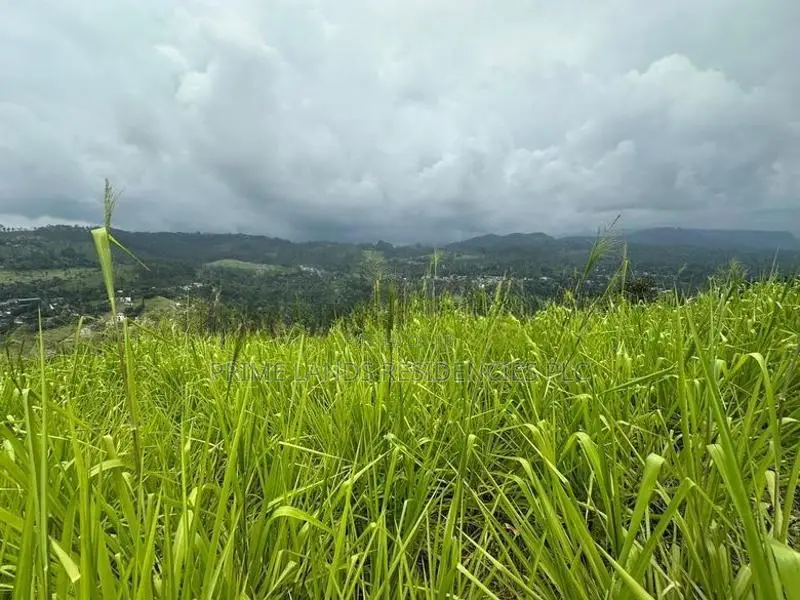 Lands for Sale in Pussellawa