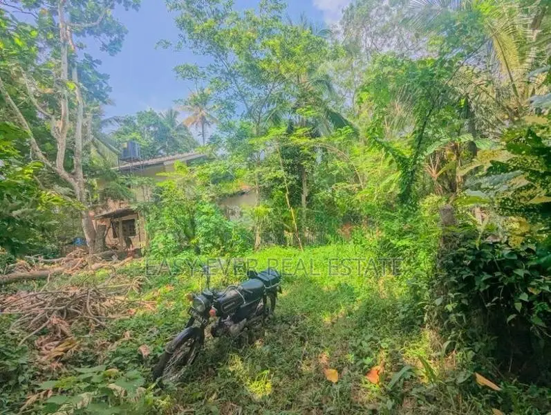 මීරිගම පල්ලෙවෙල පිහිටි පර්චස් 60 ක වටිනා ඉඩම / ST 15004