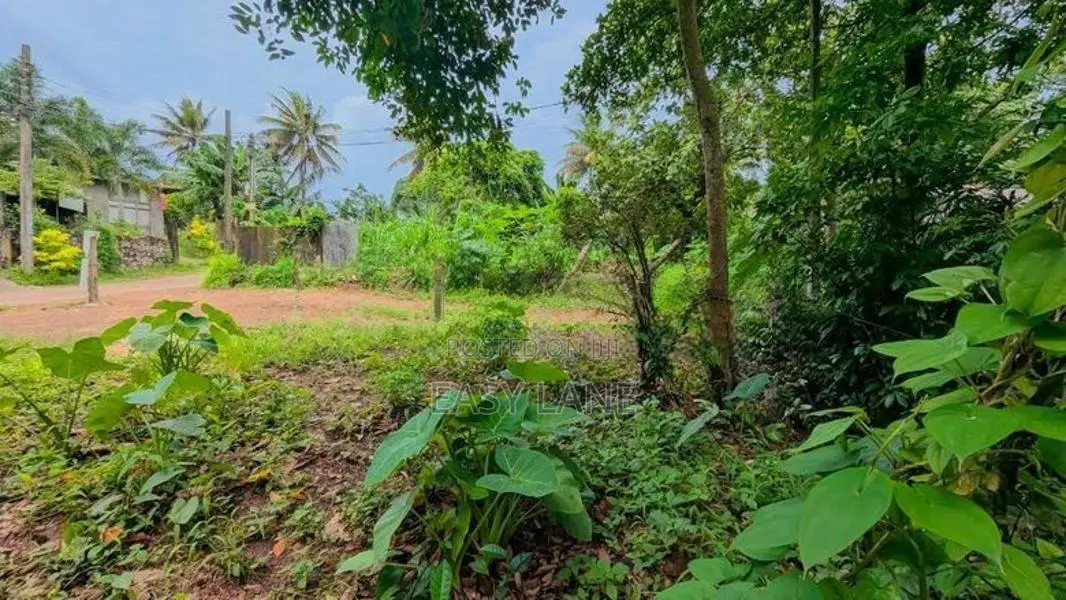 කඩවතින් වටිනා නේවාසික ඉඩමක් /KM 12628