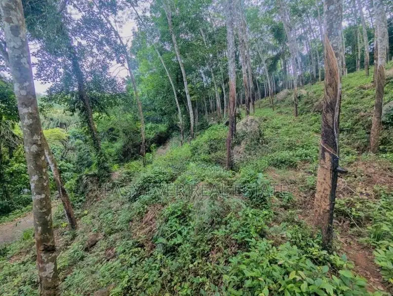 තෝලන්ගමුවෙන් වටිනා බිම් කොටසක් විකිණීමට / AJ 13950