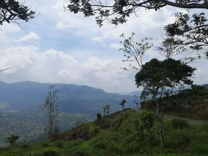 Valuable Land for Sale in Pundaluoya