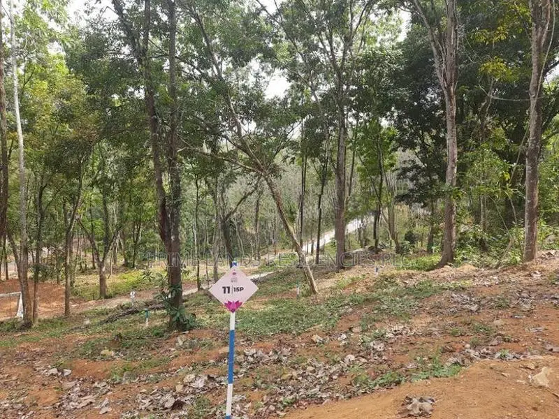 Valuable Land for Sale in Nelundeniya