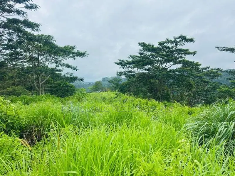 Lands for Sale in Pussellawa