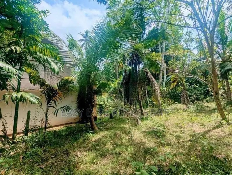 මීරිගම පල්ලෙවෙල පිහිටි පර්චස් 60 ක වටිනා ඉඩම / ST 15004